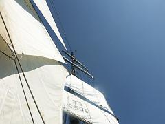 080508_Roald_Amundsen 249